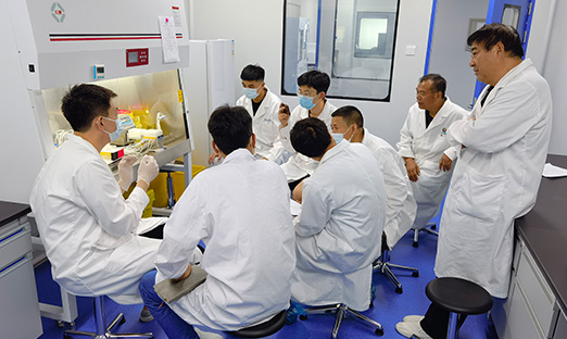 健全产业——永信贵宾会217一向秉承行稳致远