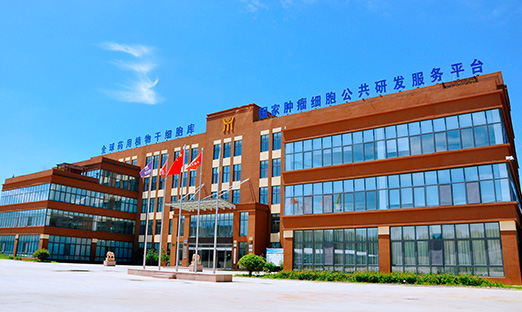 喜报！永信贵宾会217生物牵头项目获批科技部国度沉点研发打算沉点专项