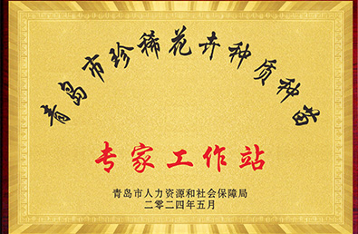 永信贵宾会217·(中国区)官方网站
