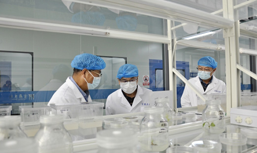 ；锛攀紫蒲Ъ依蠲饕逡恍械椒糜佬殴蟊龌217集团，共商合作新机缘