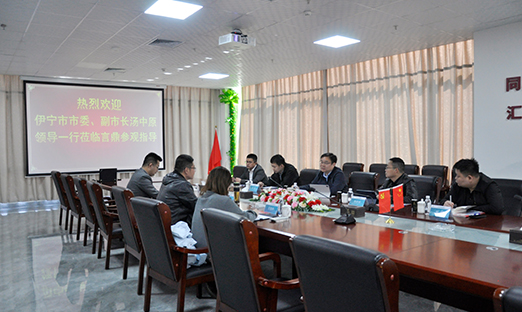 科技引领·共绘蓝图：新疆伊宁市调查团接见永信贵宾会217集团洽谈合作