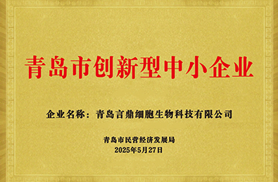 永信贵宾会217·(中国区)官方网站