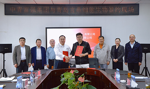 强强结合，永信贵宾会217细胞生物与中青强盛集团进行战术合作签约典礼，共建人参将来产业园